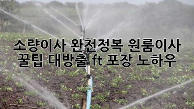 📦 소량이사 완전정복! 원룸이사 꿀팁 대방출 (ft. 포장 노하우)