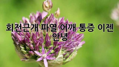 회전근개 파열? 어깨 통증, 이젠 안녕!
