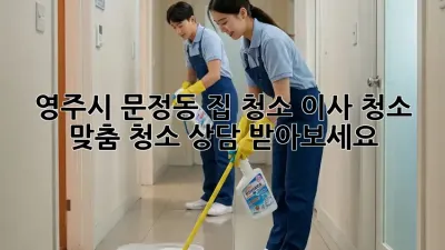 영주시 문정동 집 청소? 이사 청소? 맞춤 청소 상담 받아보세요!